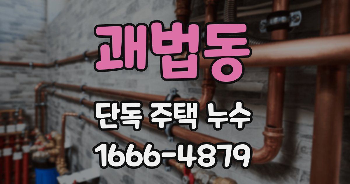괘법동 단독 주택 누수