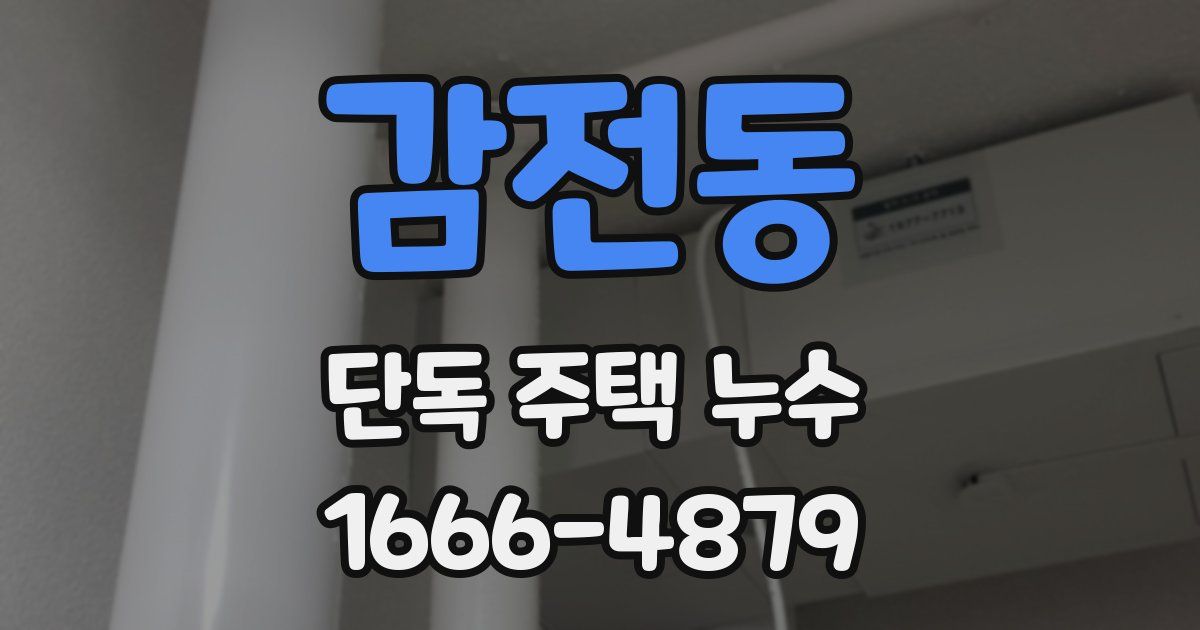 감전동 단독 주택 누수