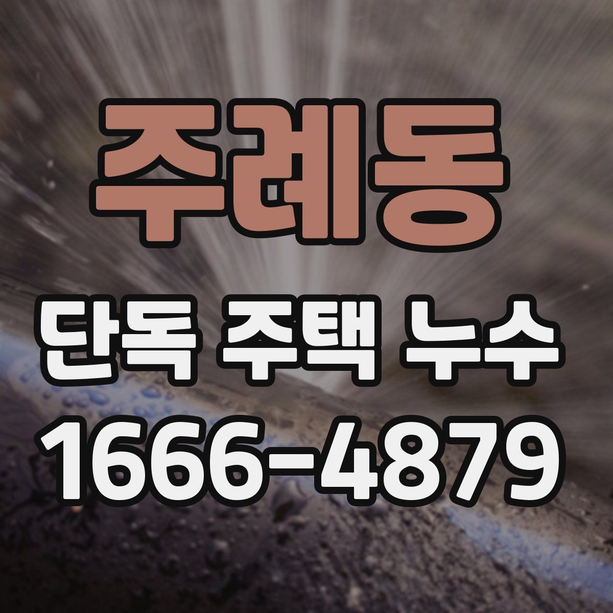 주례동 단독 주택 누수