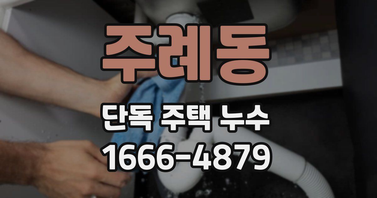 주례동 단독 주택 누수