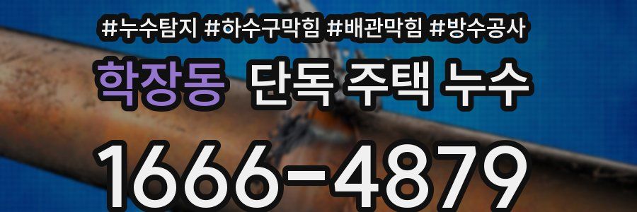 학장동 단독 주택 누수
