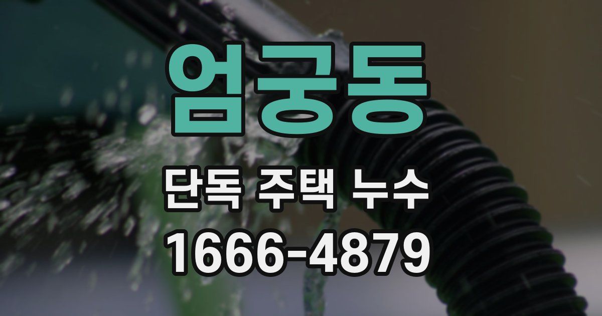 엄궁동 단독 주택 누수