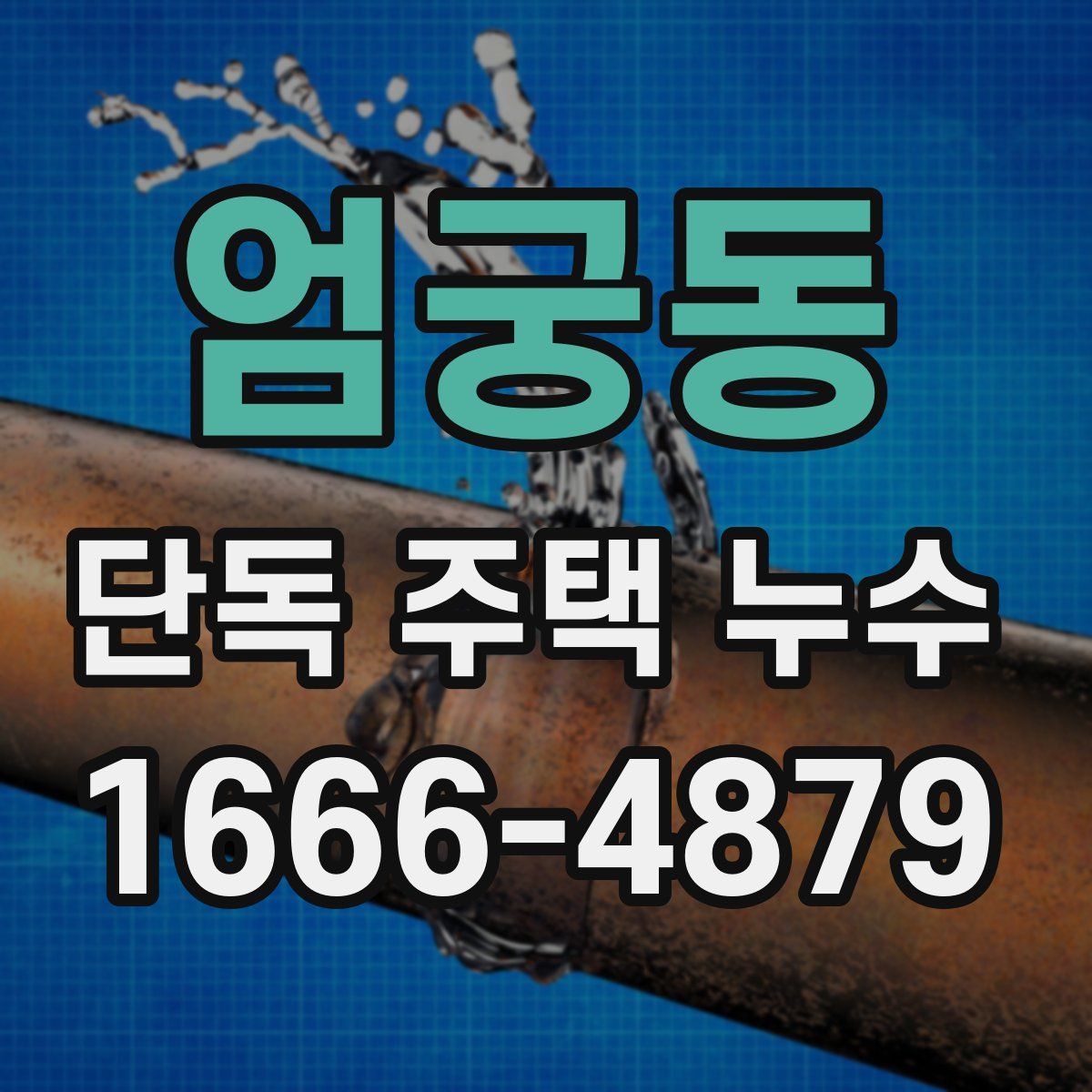 엄궁동 단독 주택 누수