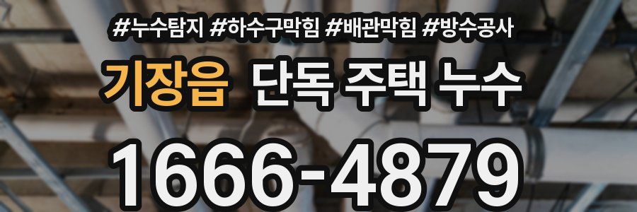 기장읍 단독 주택 누수