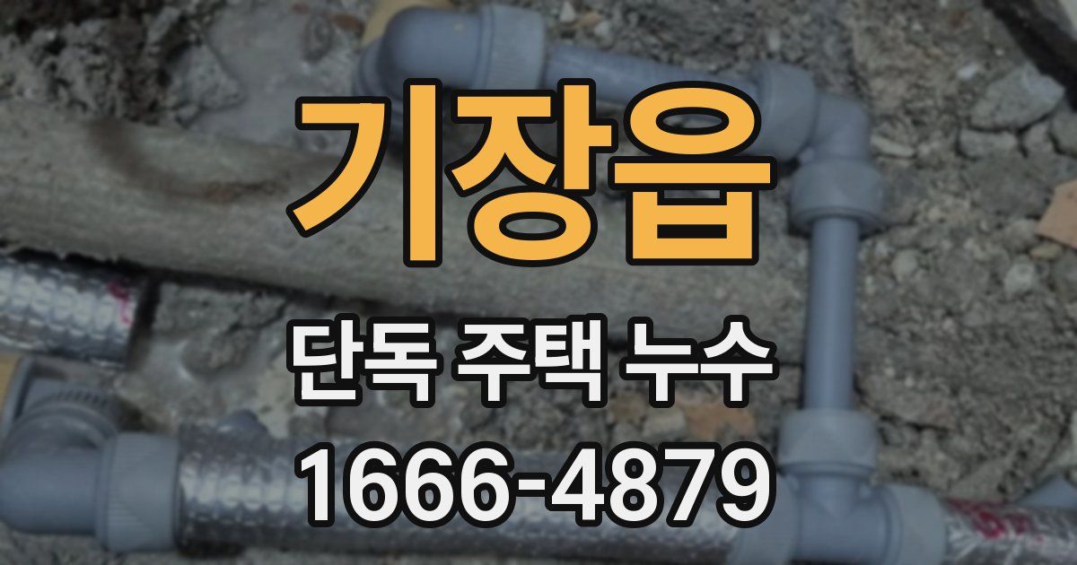 기장읍 단독 주택 누수