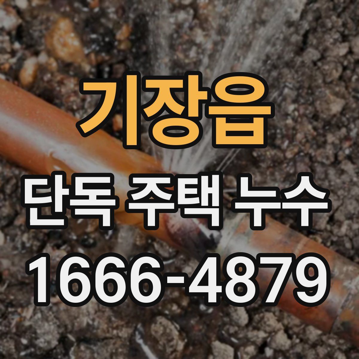 기장읍 단독 주택 누수