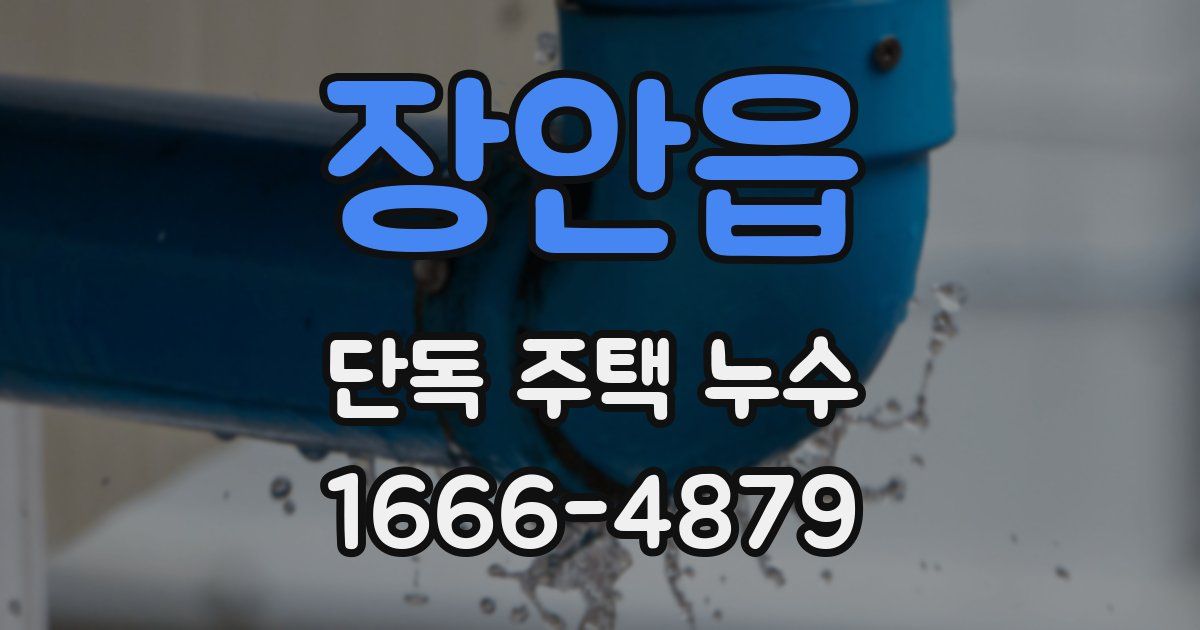 장안읍 단독 주택 누수