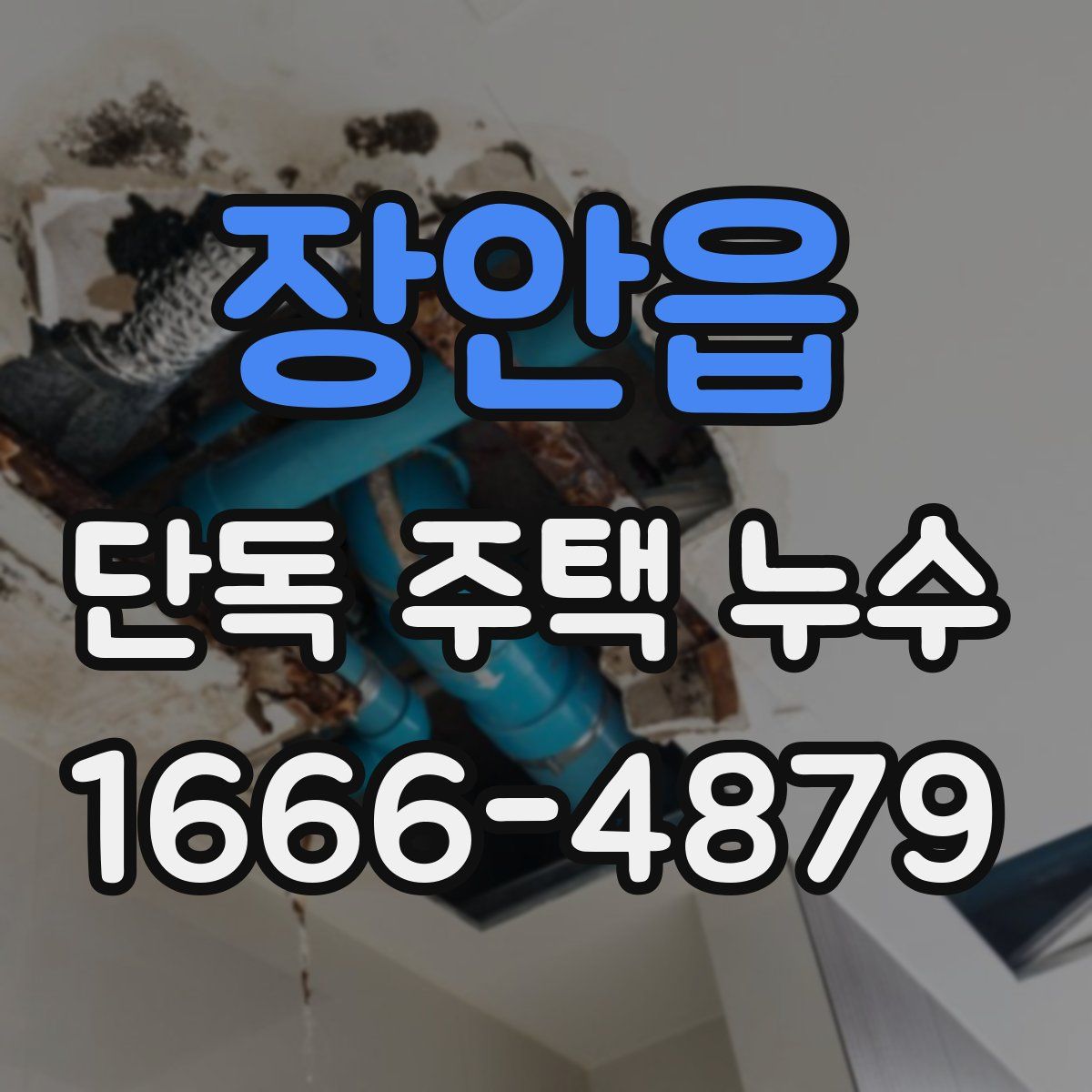 장안읍 단독 주택 누수
