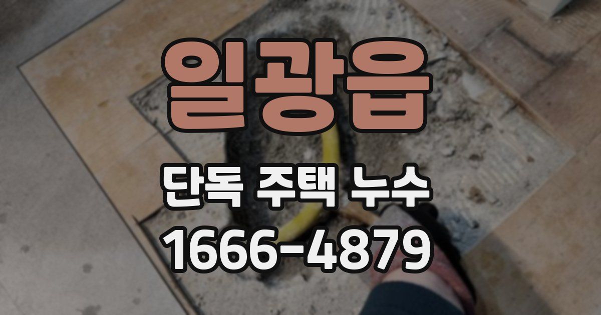 일광읍 단독 주택 누수