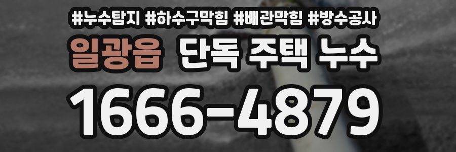 일광읍 단독 주택 누수