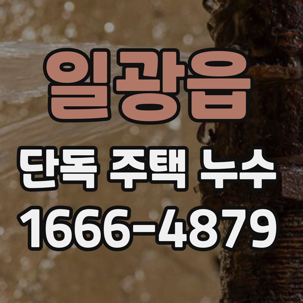 일광읍 단독 주택 누수