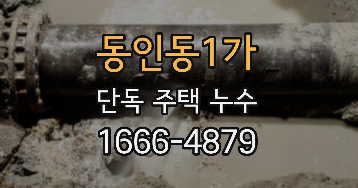 동인동1가 단독 주택 누수