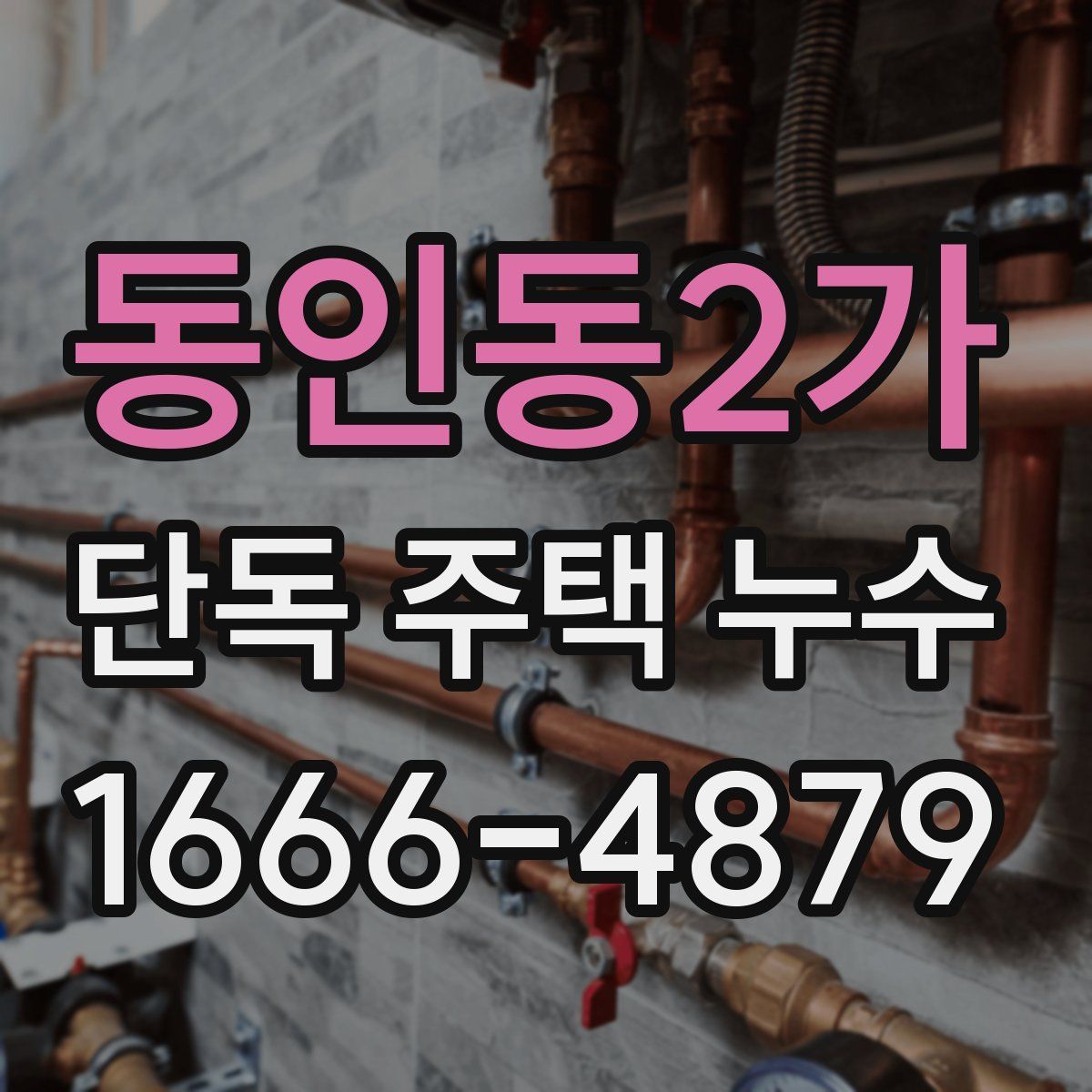 동인동2가 단독 주택 누수