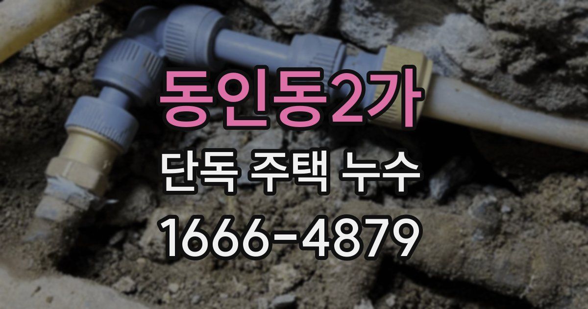 동인동2가 단독 주택 누수