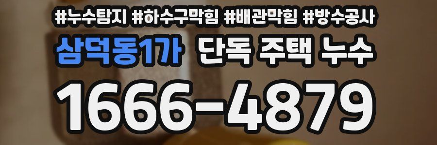삼덕동1가 단독 주택 누수