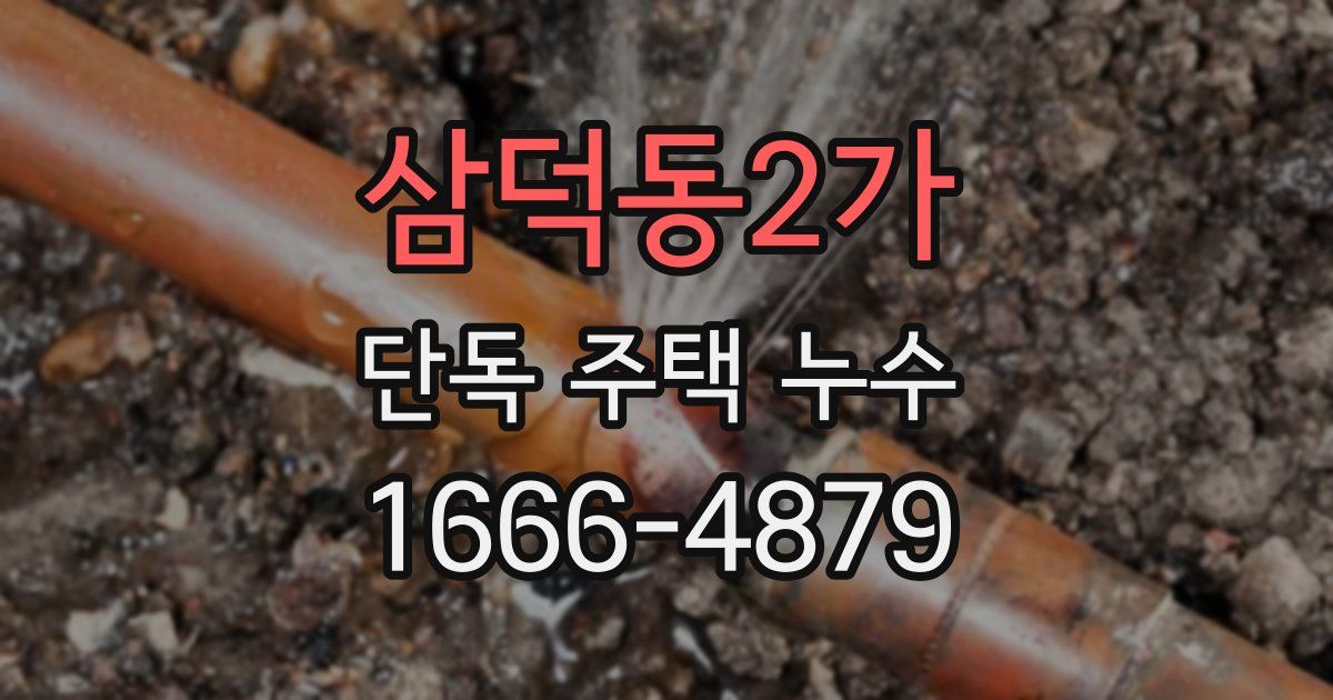삼덕동2가 단독 주택 누수