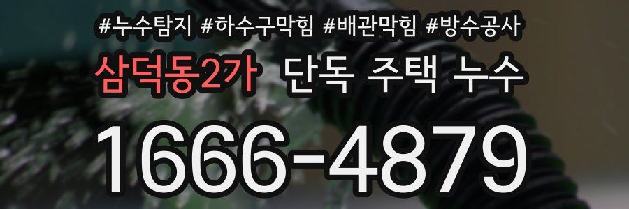 삼덕동2가 단독 주택 누수