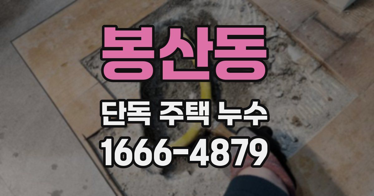 봉산동 단독 주택 누수