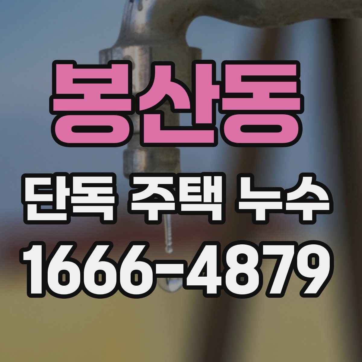 봉산동 단독 주택 누수