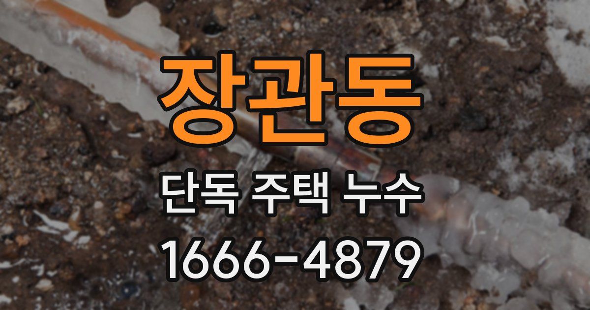 장관동 단독 주택 누수