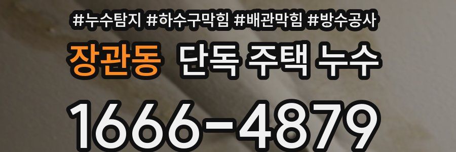 장관동 단독 주택 누수