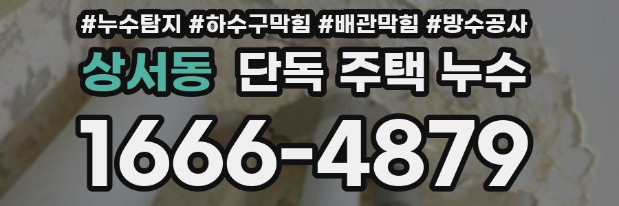 상서동 단독 주택 누수
