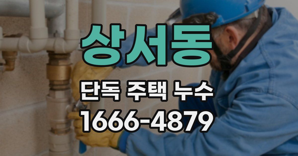 상서동 단독 주택 누수