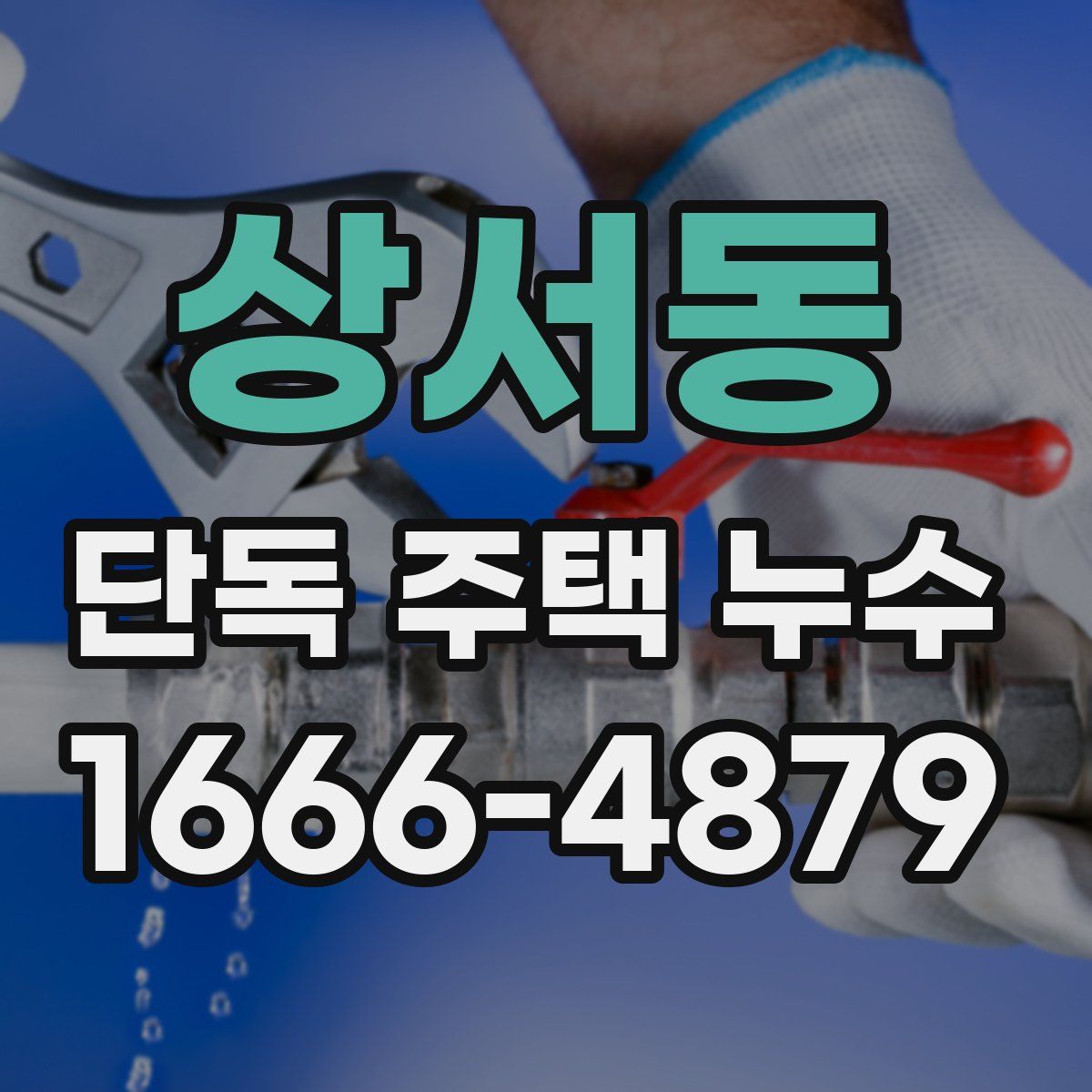 상서동 단독 주택 누수
