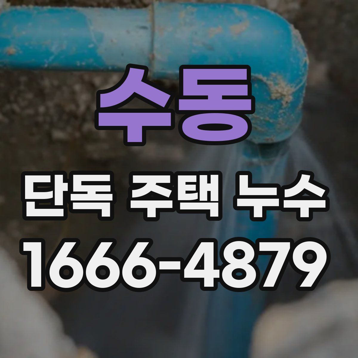 수동 단독 주택 누수