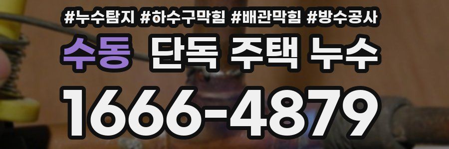 수동 단독 주택 누수