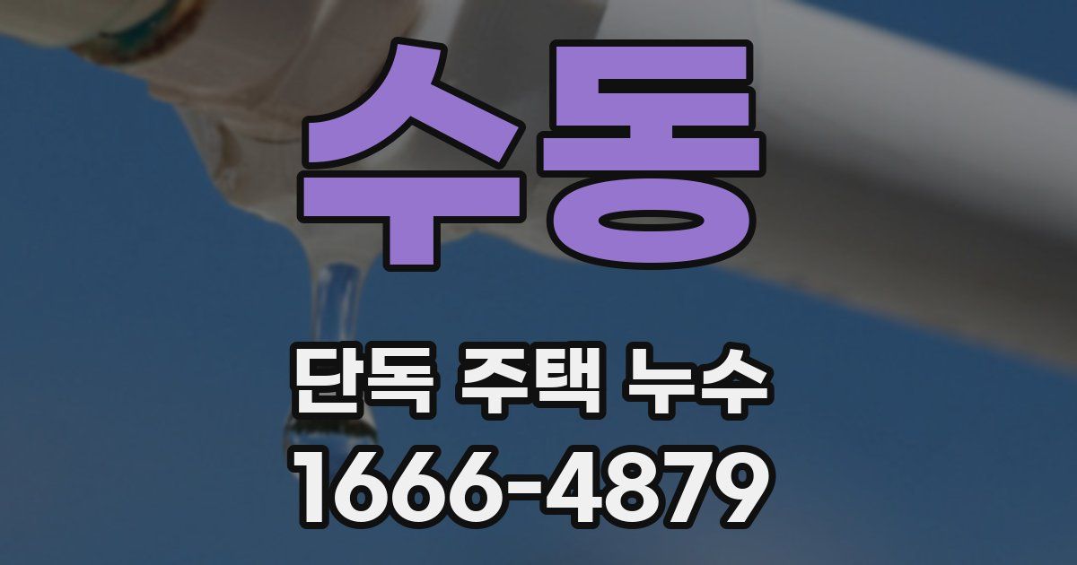 수동 단독 주택 누수