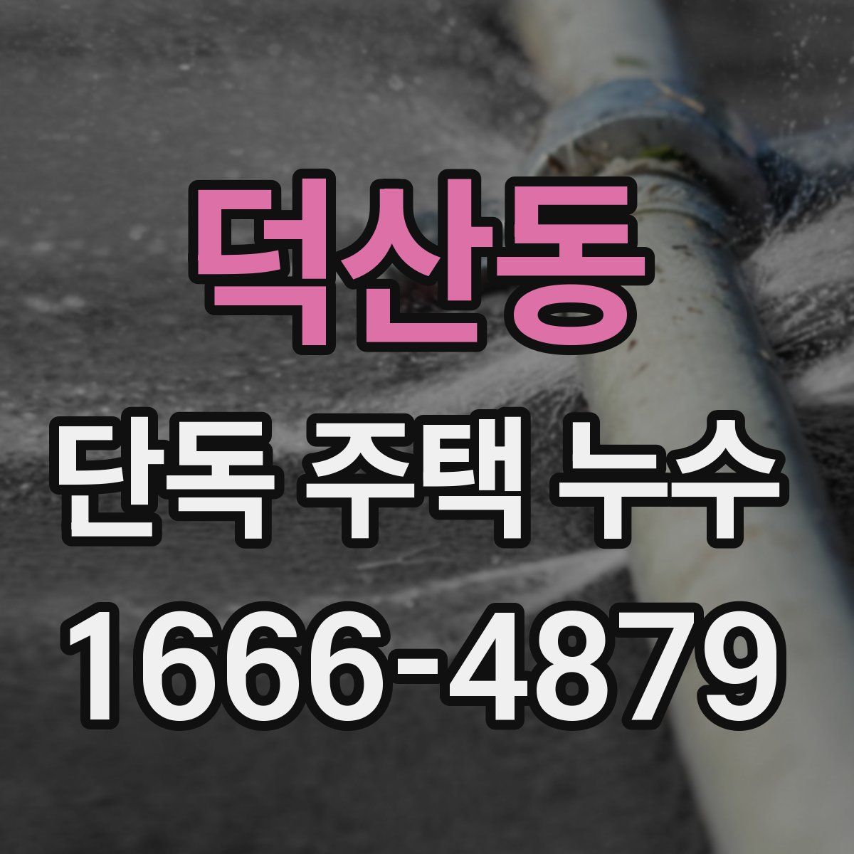 덕산동 단독 주택 누수