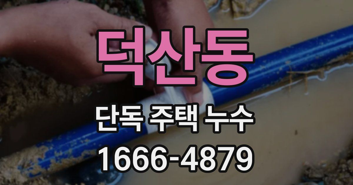 덕산동 단독 주택 누수