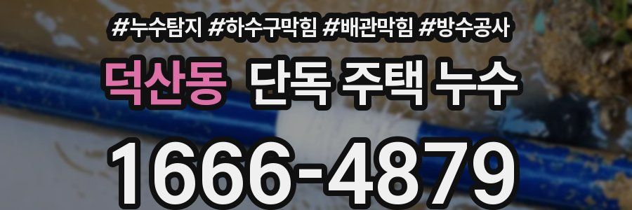 덕산동 단독 주택 누수