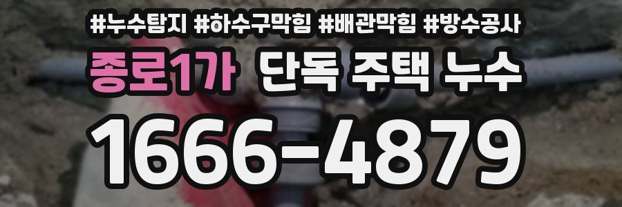종로1가 단독 주택 누수