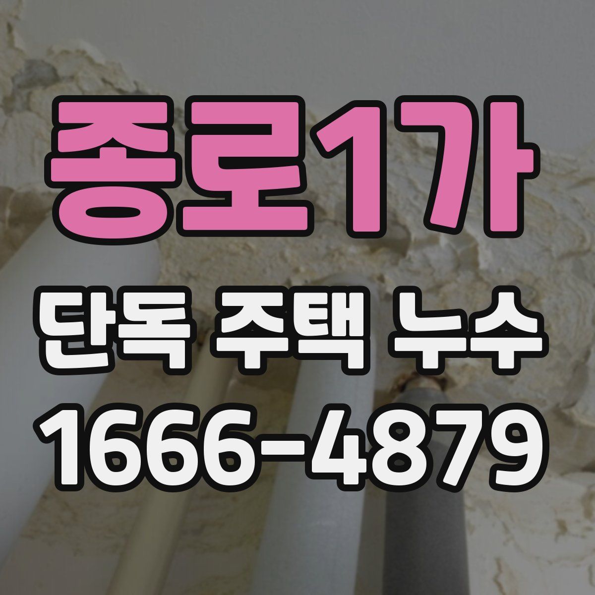 종로1가 단독 주택 누수