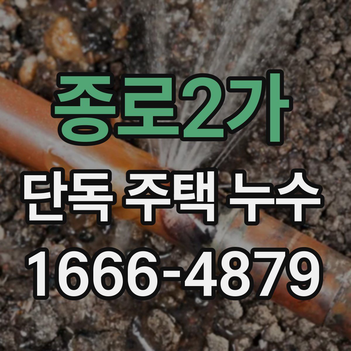 종로2가 단독 주택 누수
