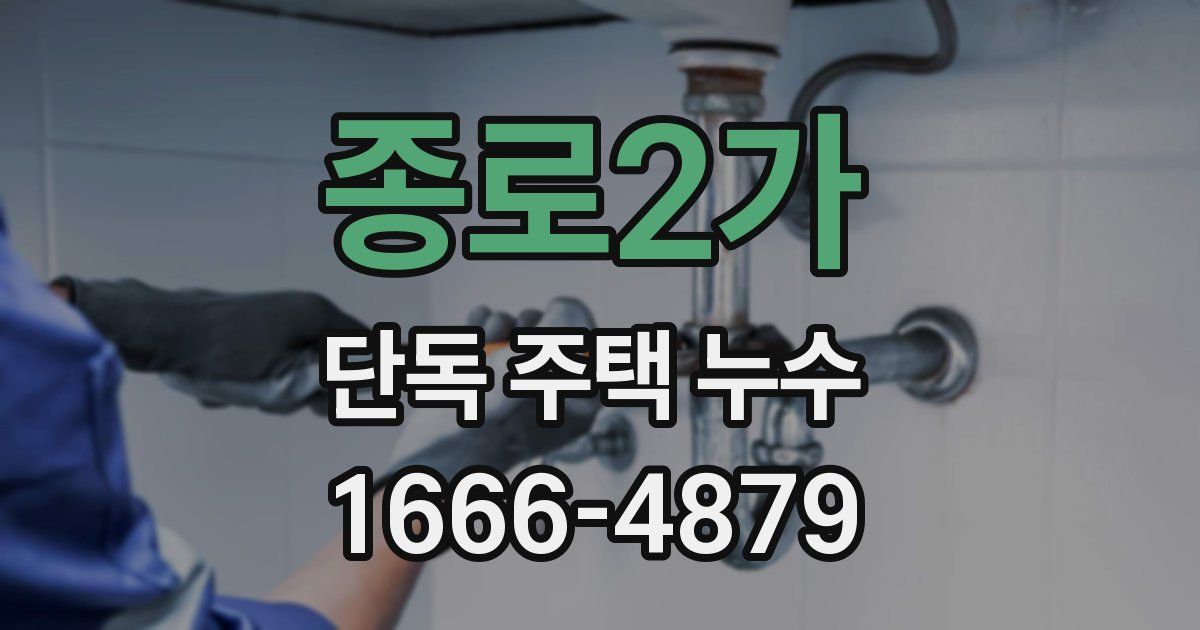 종로2가 단독 주택 누수