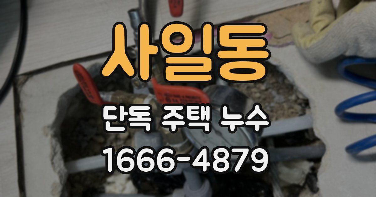 사일동 단독 주택 누수