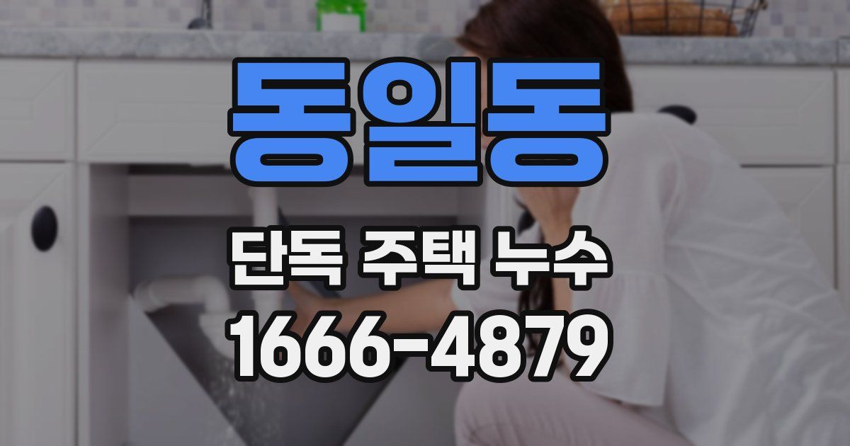 동일동 단독 주택 누수