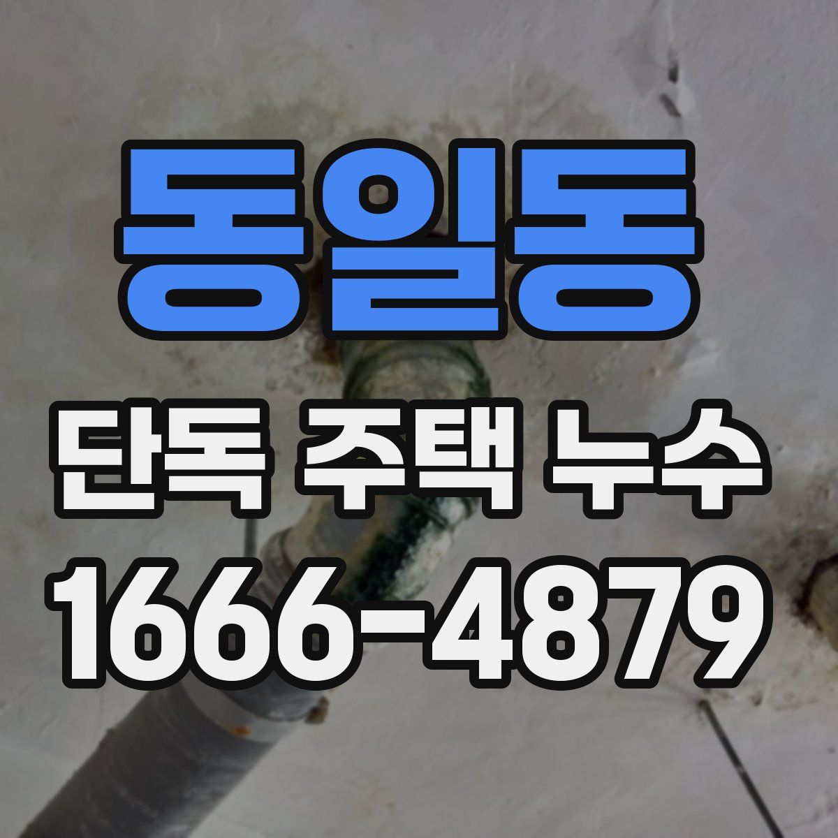동일동 단독 주택 누수