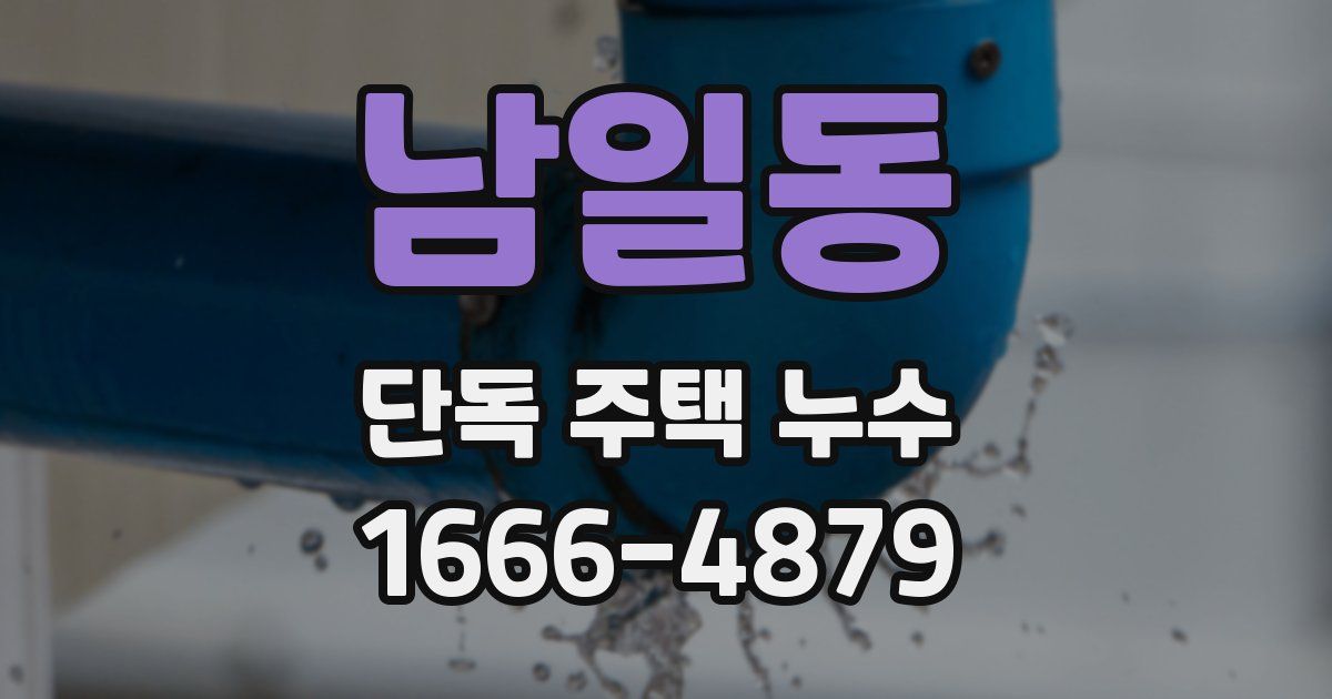 남일동 단독 주택 누수