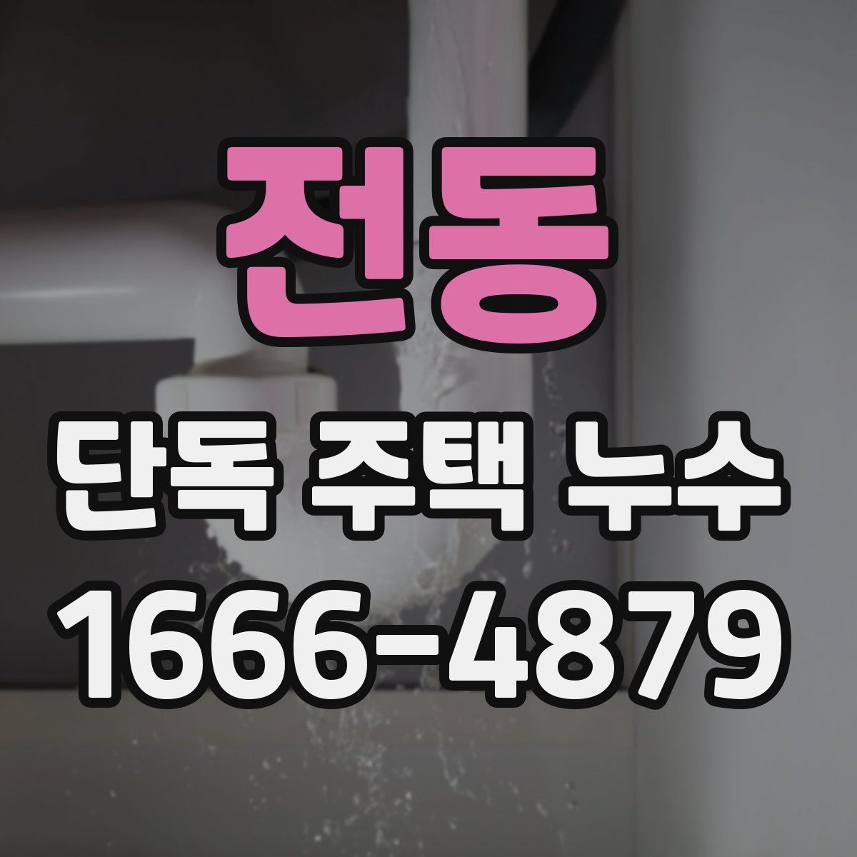 전동 단독 주택 누수