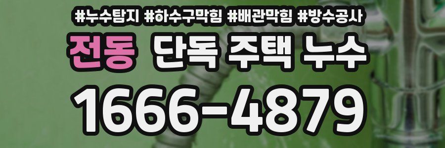 전동 단독 주택 누수