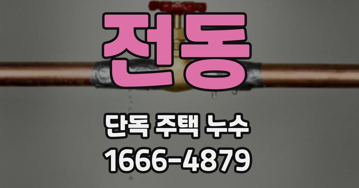 전동 단독 주택 누수