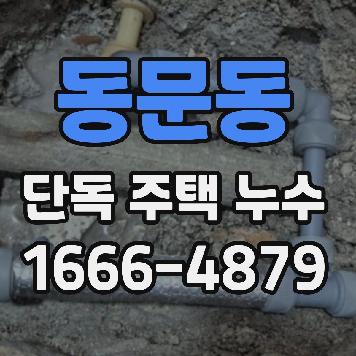 동문동 단독 주택 누수