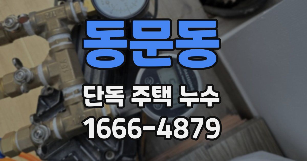 동문동 단독 주택 누수