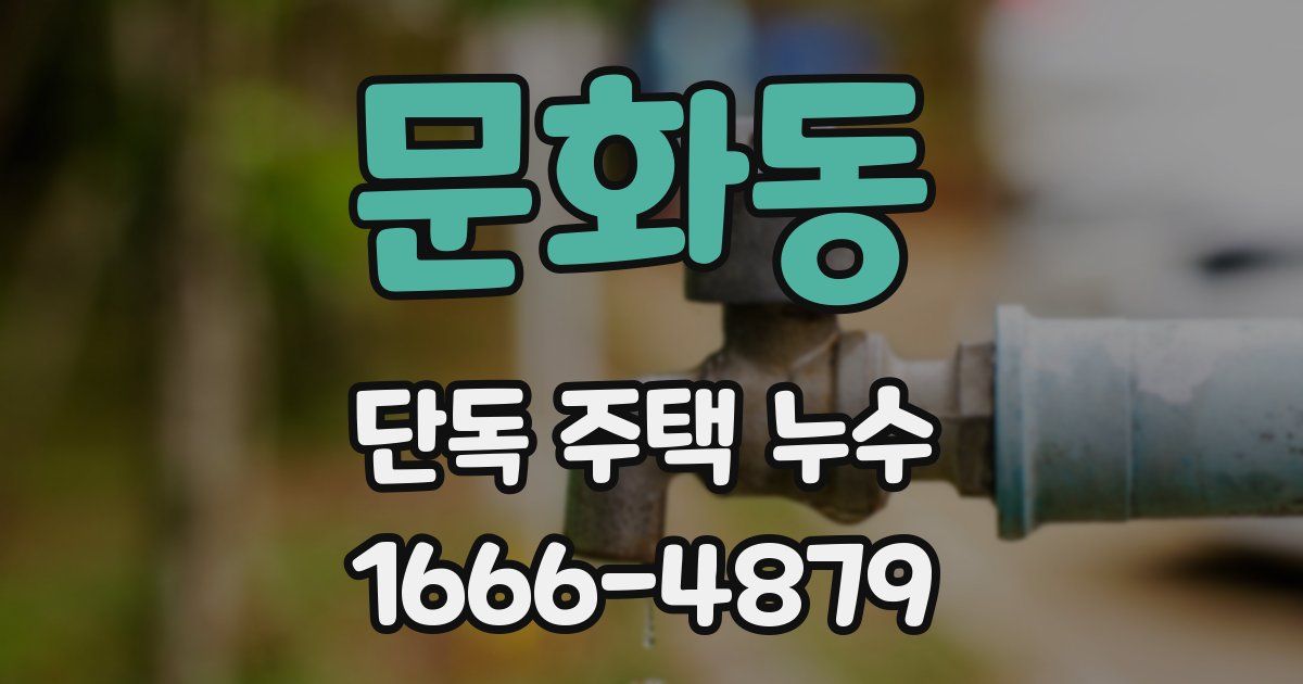 문화동 단독 주택 누수