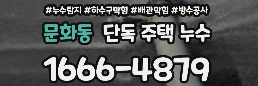 문화동 단독 주택 누수