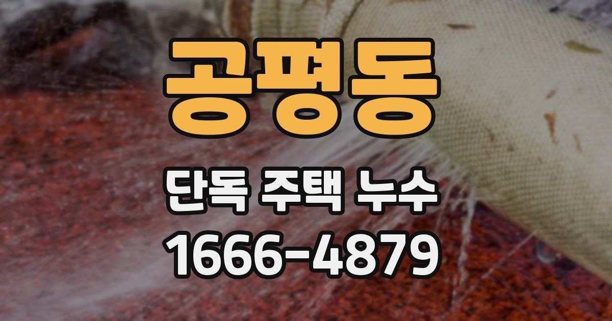 공평동 단독 주택 누수